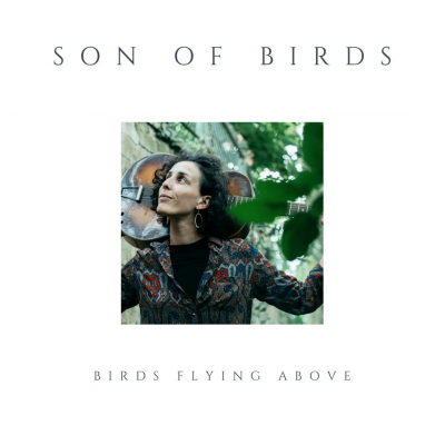 SON OF BIRDS Birds flying above