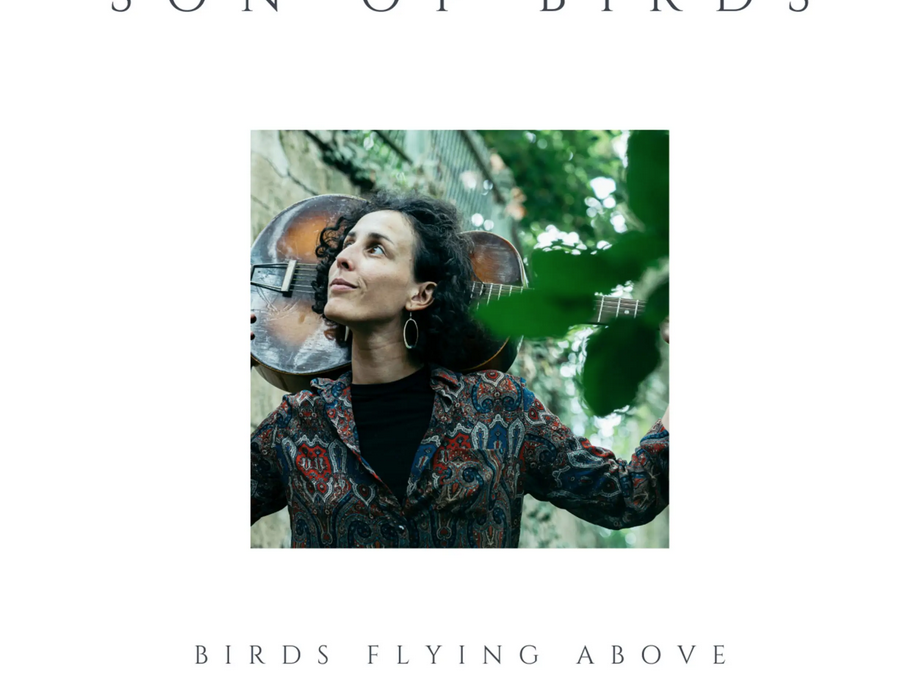 SON OF BIRDS Birds flying above