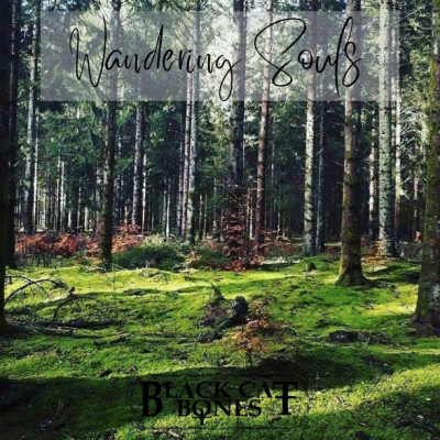 BLACK CAT BONES Single Wandering Soul