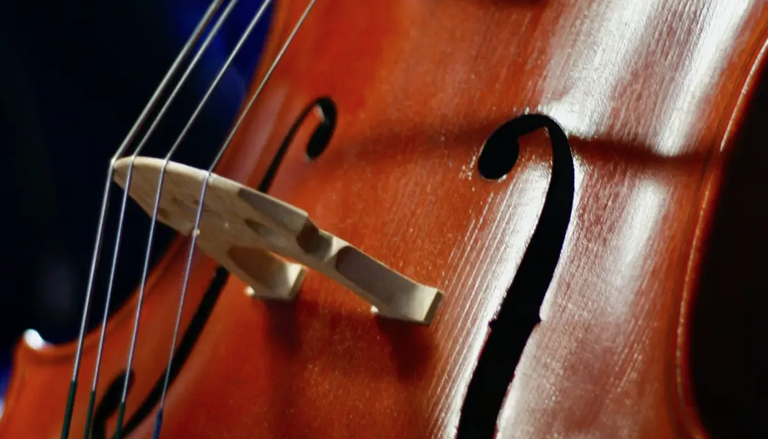 LE VOYAGE EN VIOLONCELLE  La prose du Transsibérien