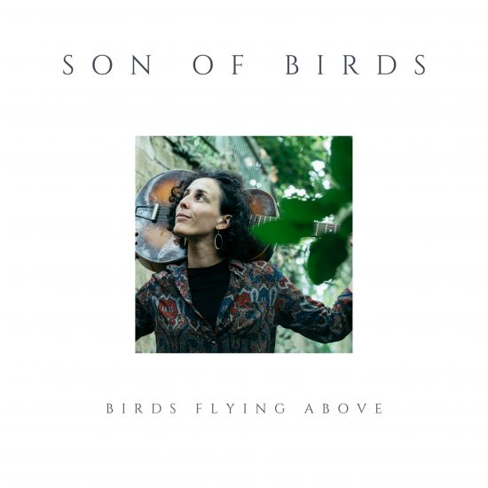 Son of birds © AbdelauCarré